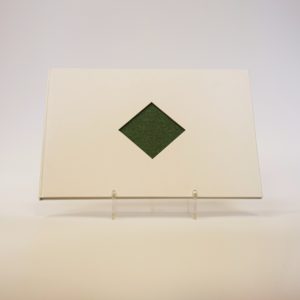 W powietrzu, na lądzie i morzu, Jakub Woynarowski